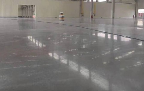 大只500测速登录