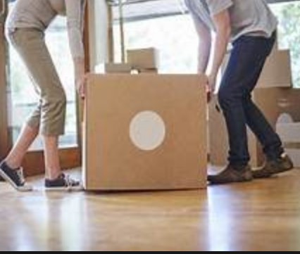 大只500登录网址,大只500平台做什么的?