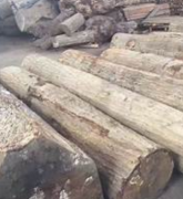 <b>大只500注册喊话舒纳沃恩黑板漆！如何证明你是</b>